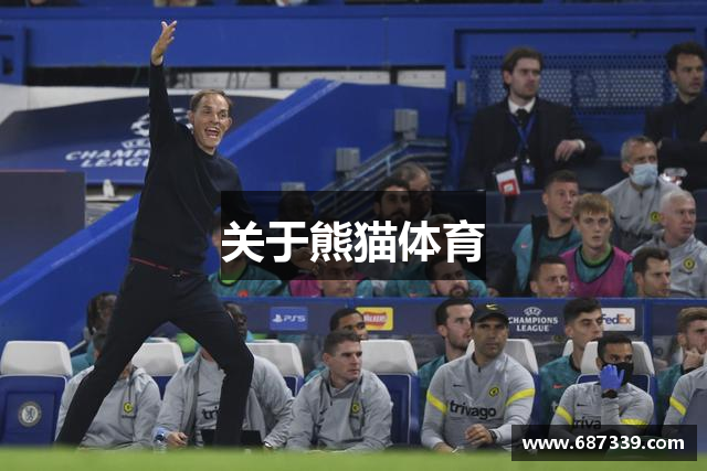 关于熊猫体育